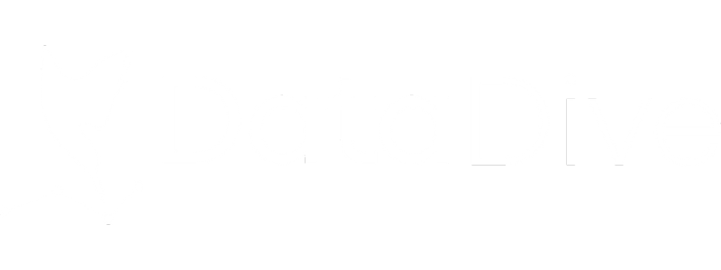 Data Dive Logo
